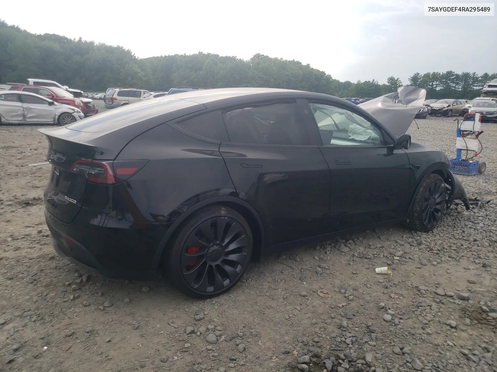 2024 Tesla Model Y VIN: 7SAYGDEF4RA295489 Lot: 62501994