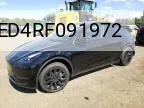 2024 Tesla Model Y VIN: 7SAYGDED4RF091972 Lot: 62535584