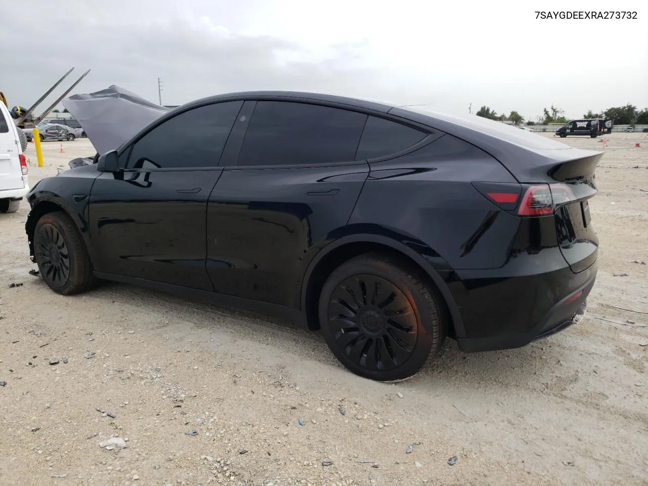 2024 Tesla Model Y VIN: 7SAYGDEEXRA273732 Lot: 62633134