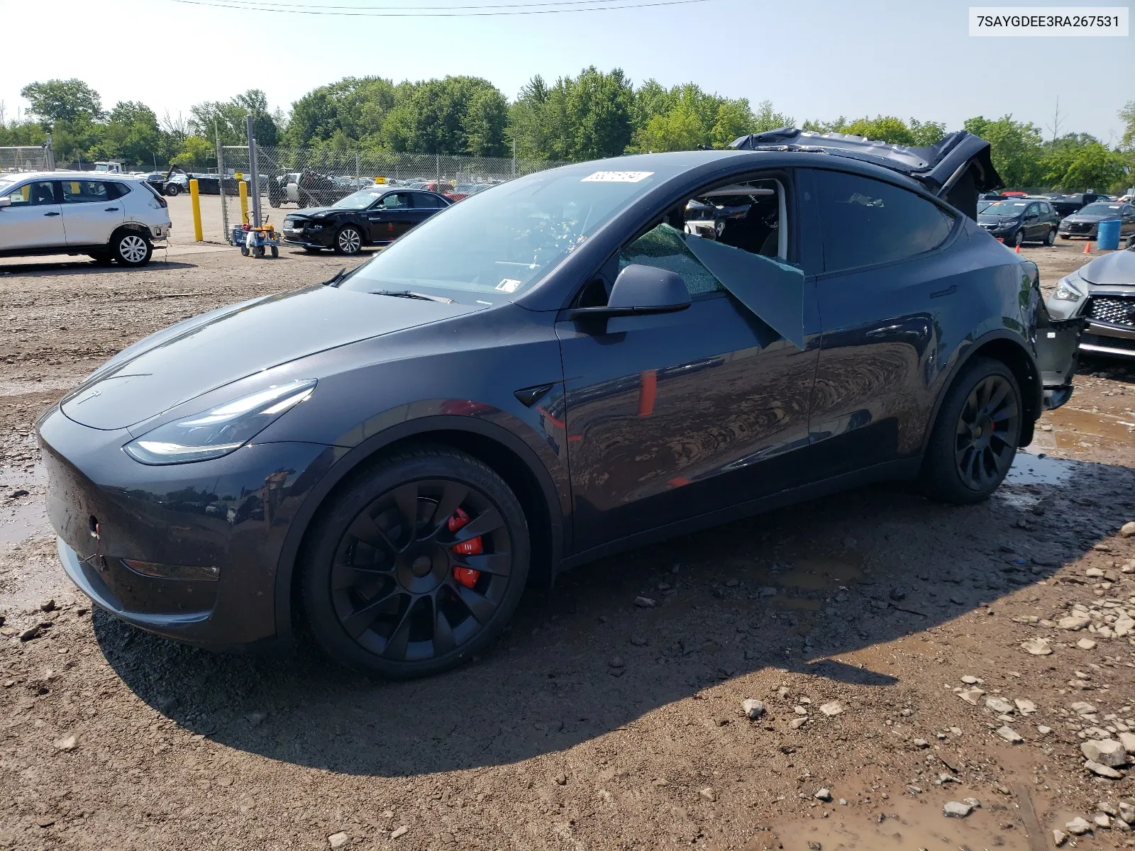 2024 Tesla Model Y VIN: 7SAYGDEE3RA267531 Lot: 63015134