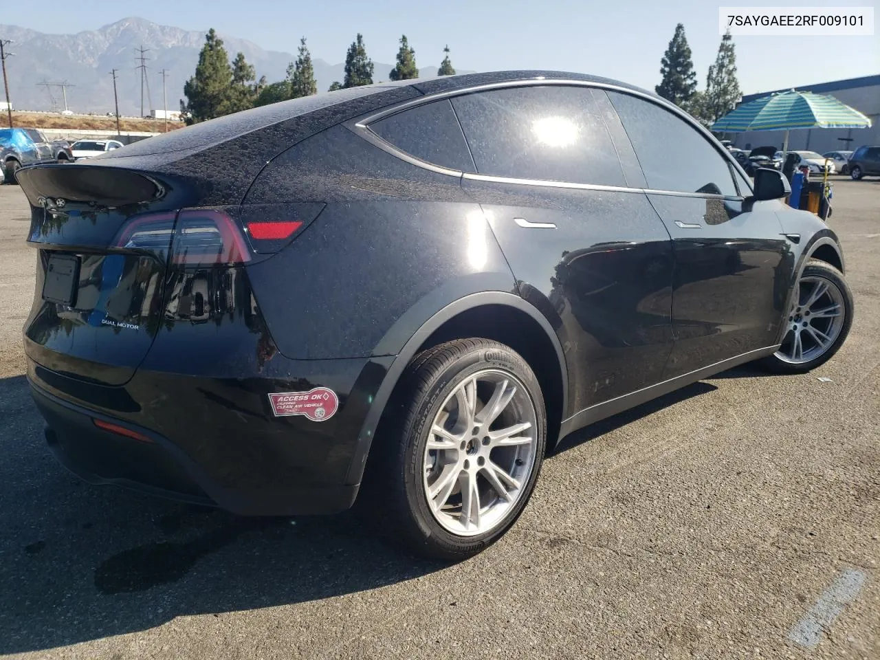 2024 Tesla Model Y VIN: 7SAYGAEE2RF009101 Lot: 63168334