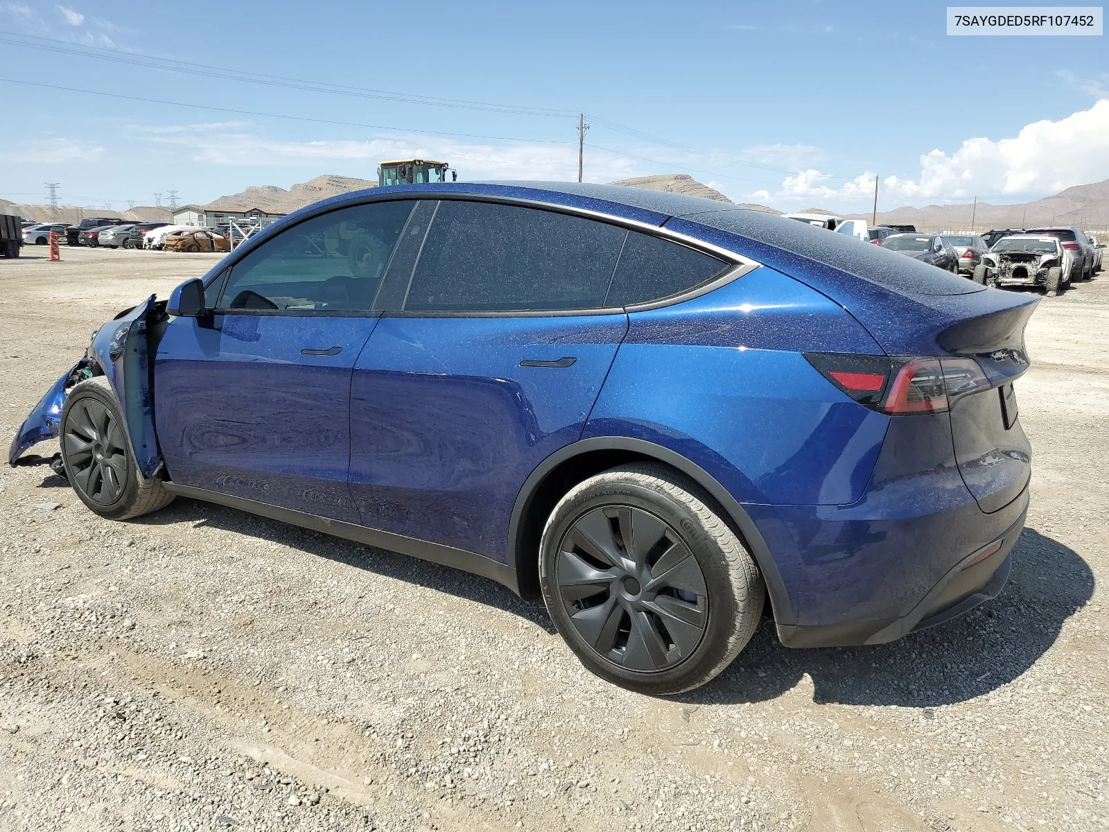 2024 Tesla Model Y VIN: 7SAYGDED5RF107452 Lot: 64092724