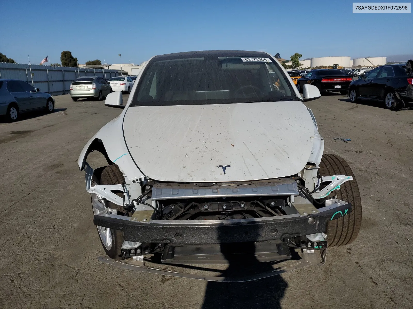 2024 Tesla Model Y VIN: 7SAYGDEDXRF072598 Lot: 65175504