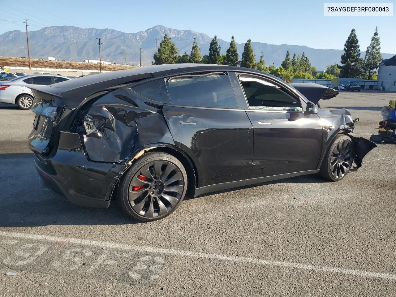 2024 Tesla Model Y VIN: 7SAYGDEF3RF080043 Lot: 65449584