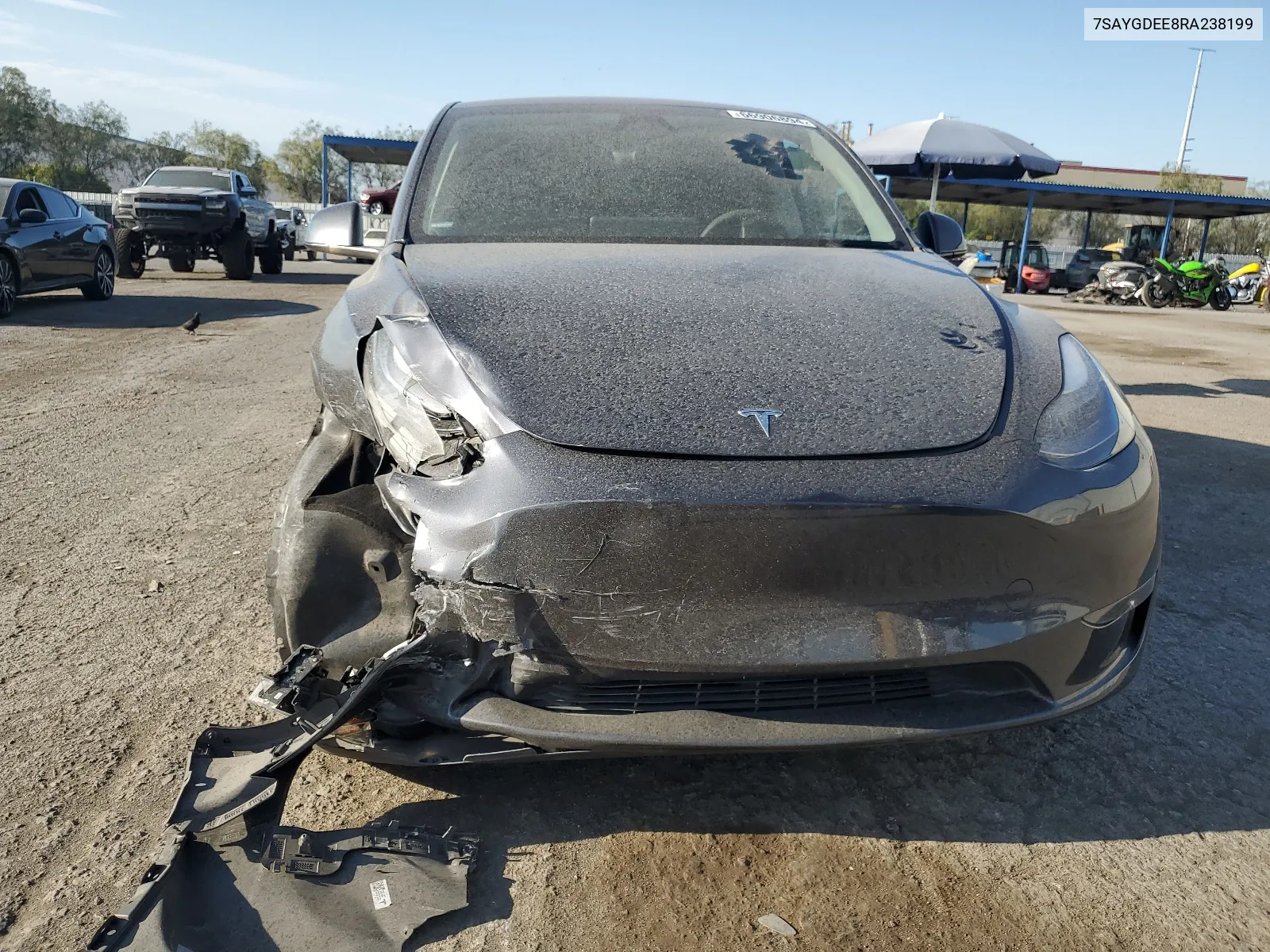 2024 Tesla Model Y VIN: 7SAYGDEE8RA238199 Lot: 66906894