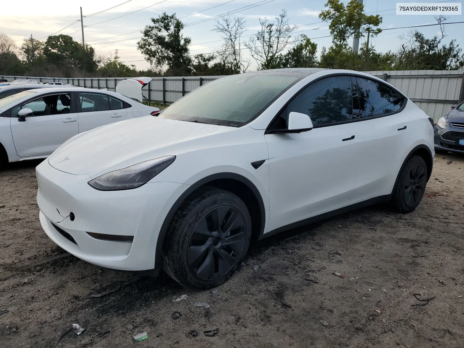 7SAYGDEDXRF129365 2024 Tesla Model Y