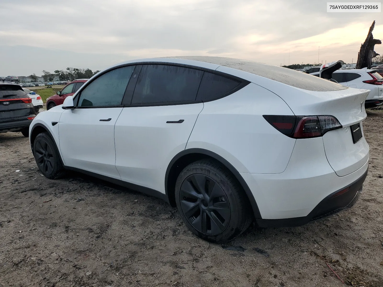 7SAYGDEDXRF129365 2024 Tesla Model Y