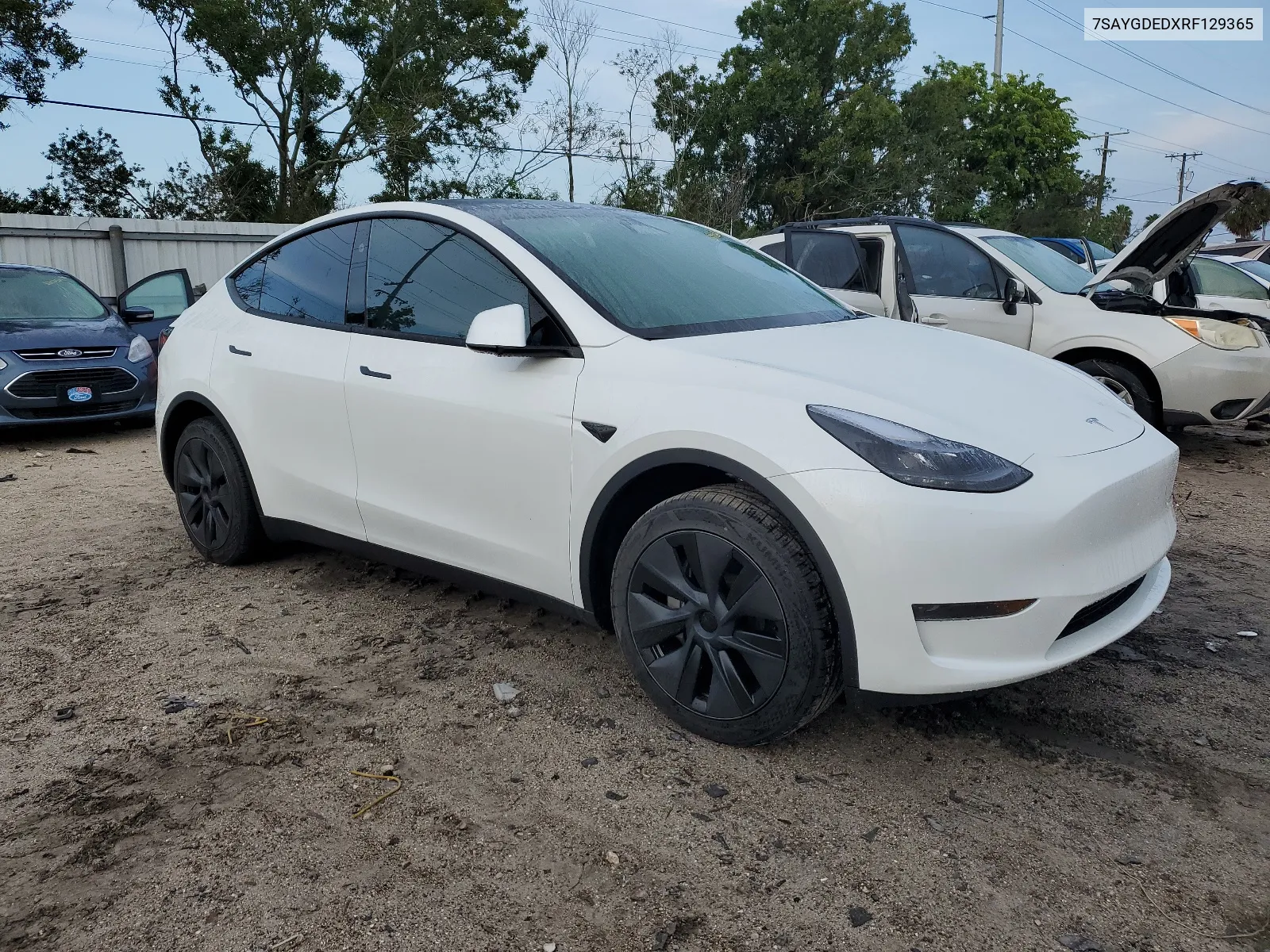 7SAYGDEDXRF129365 2024 Tesla Model Y