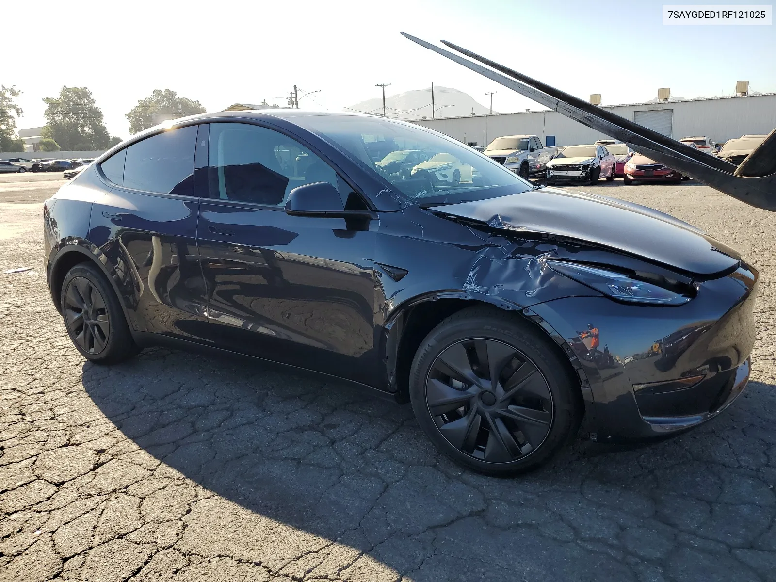 2024 Tesla Model Y VIN: 7SAYGDED1RF121025 Lot: 67524824