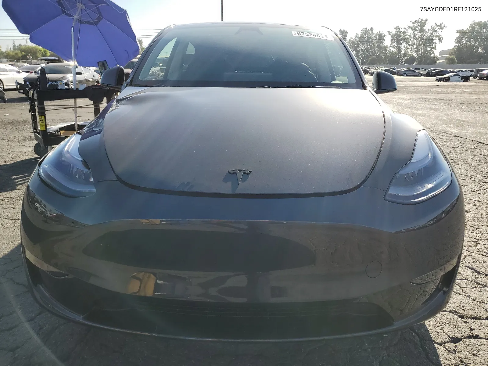 2024 Tesla Model Y VIN: 7SAYGDED1RF121025 Lot: 67524824