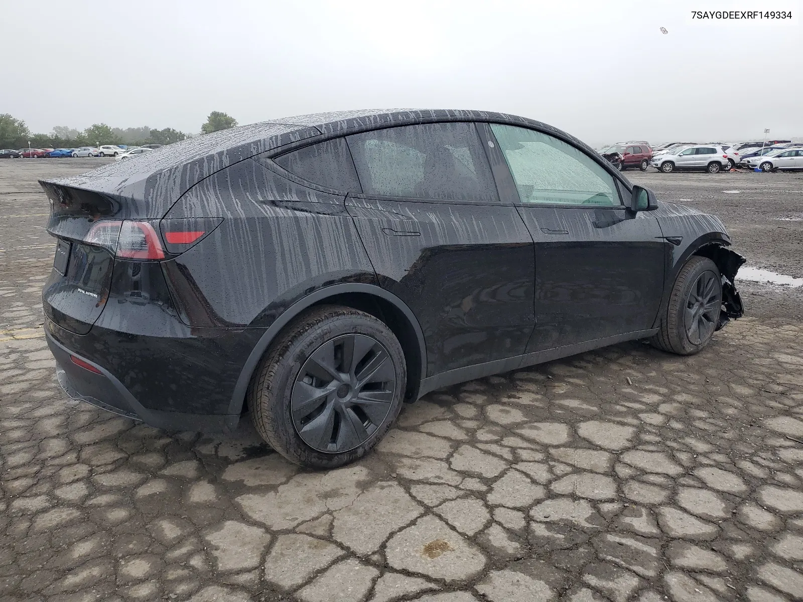 2024 Tesla Model Y VIN: 7SAYGDEEXRF149334 Lot: 67761874