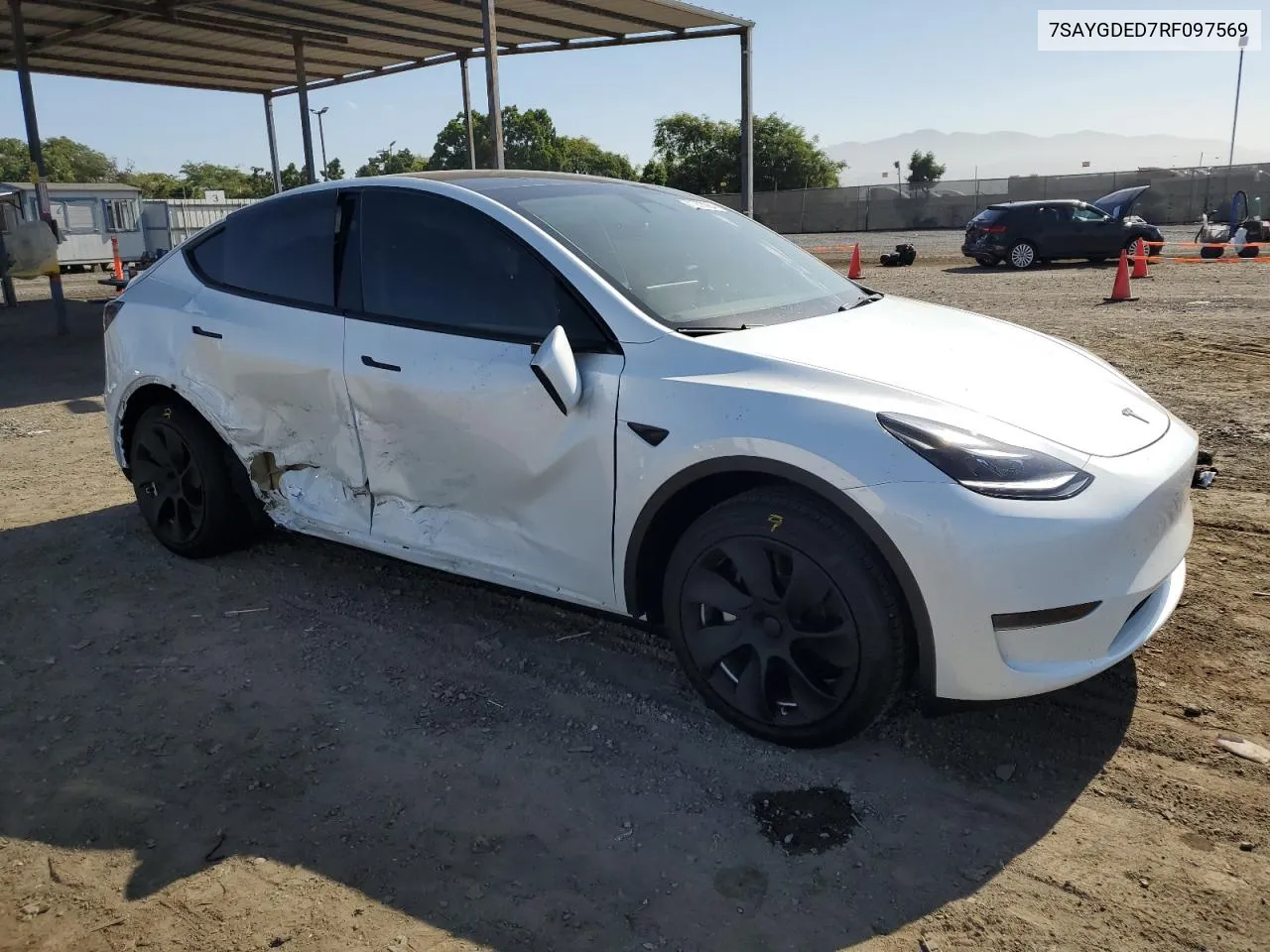 2024 Tesla Model Y VIN: 7SAYGDED7RF097569 Lot: 67973984