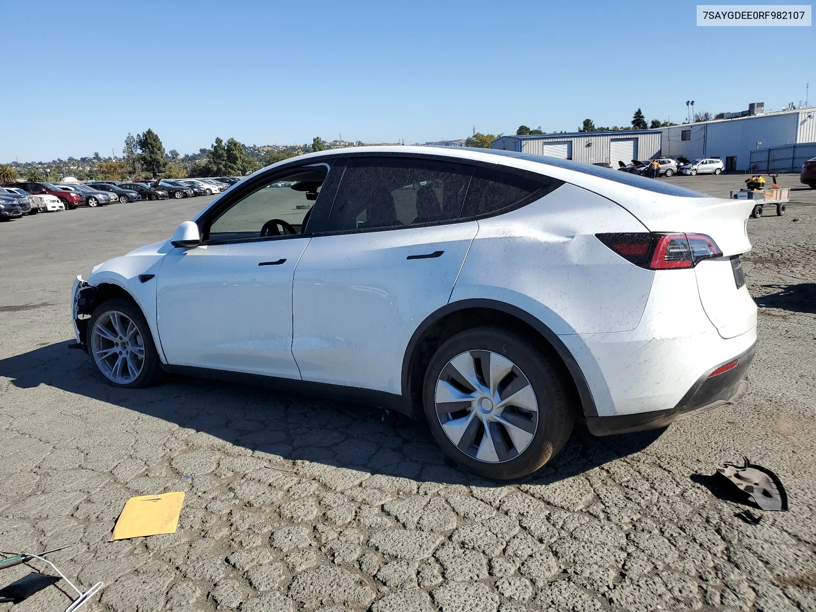 2024 Tesla Model Y VIN: 7SAYGDEE0RF982107 Lot: 68714634