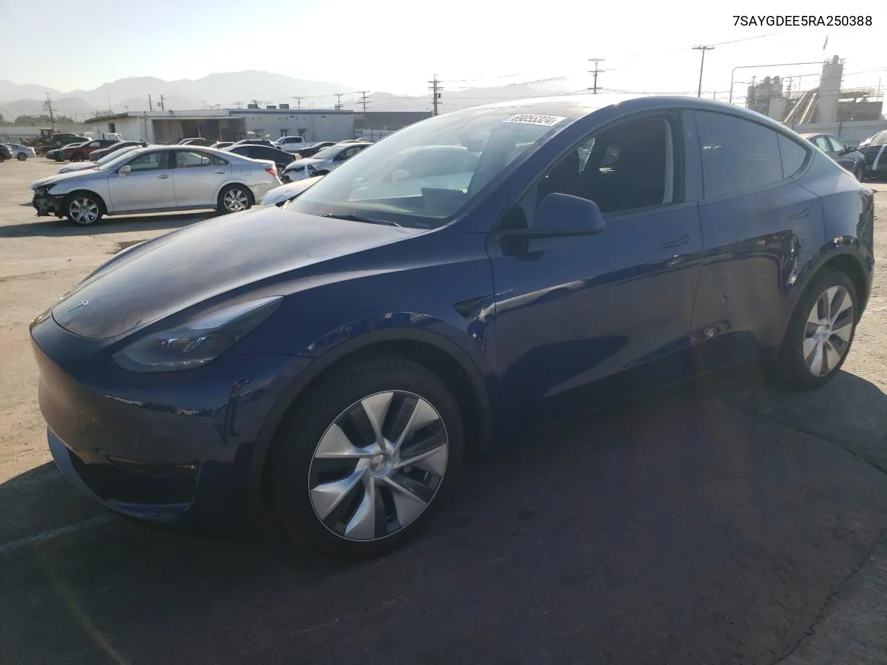 2024 Tesla Model Y VIN: 7SAYGDEE5RA250388 Lot: 69055324