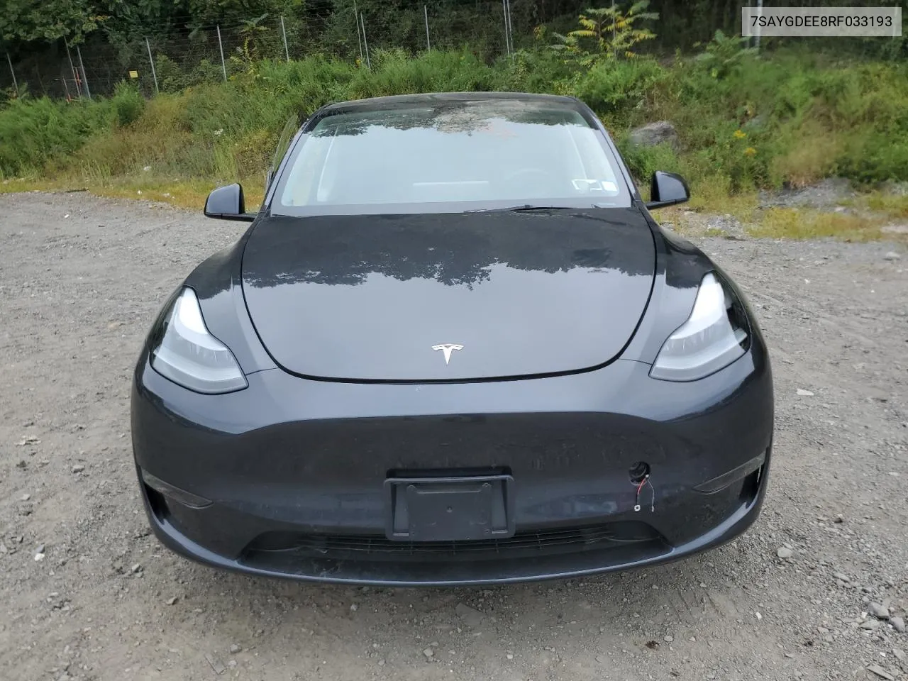 2024 Tesla Model Y VIN: 7SAYGDEE8RF033193 Lot: 69376954