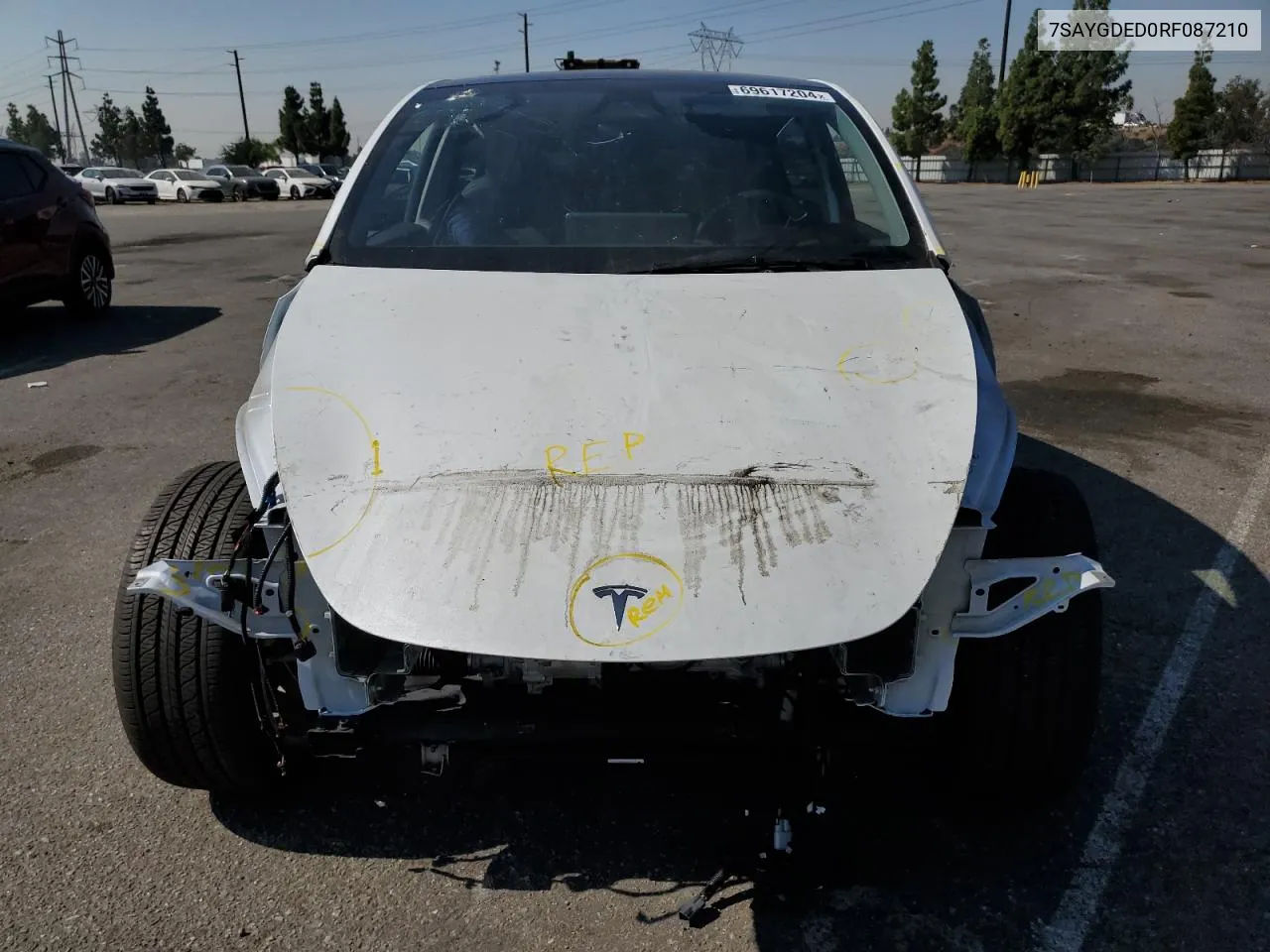 2024 Tesla Model Y VIN: 7SAYGDED0RF087210 Lot: 69617204