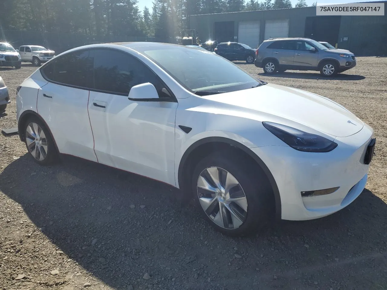 2024 Tesla Model Y VIN: 7SAYGDEE5RF047147 Lot: 69719424