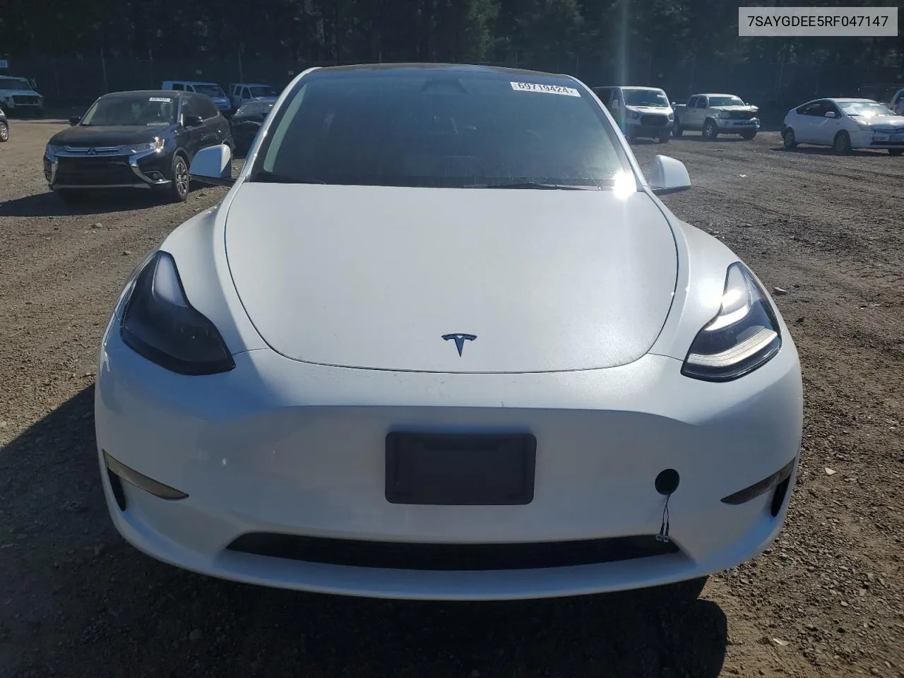 2024 Tesla Model Y VIN: 7SAYGDEE5RF047147 Lot: 69719424