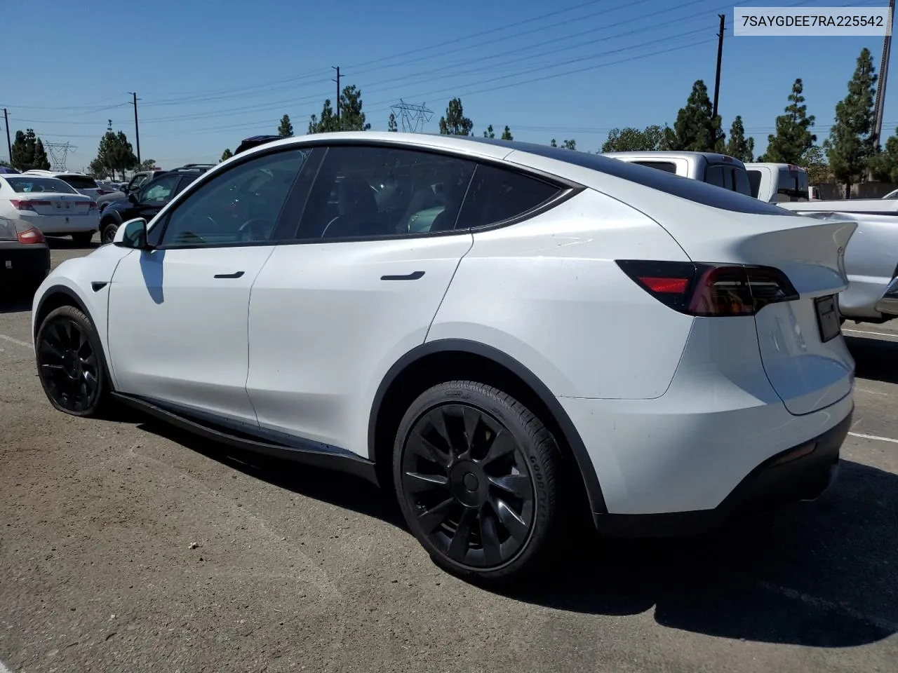 2024 Tesla Model Y VIN: 7SAYGDEE7RA225542 Lot: 69846794