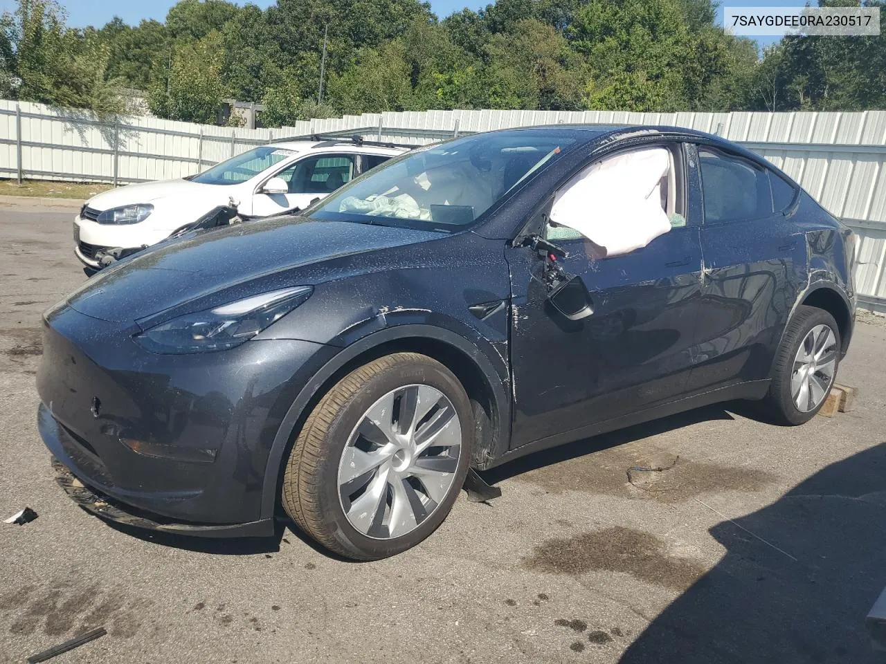 2024 Tesla Model Y VIN: 7SAYGDEE0RA230517 Lot: 69988584