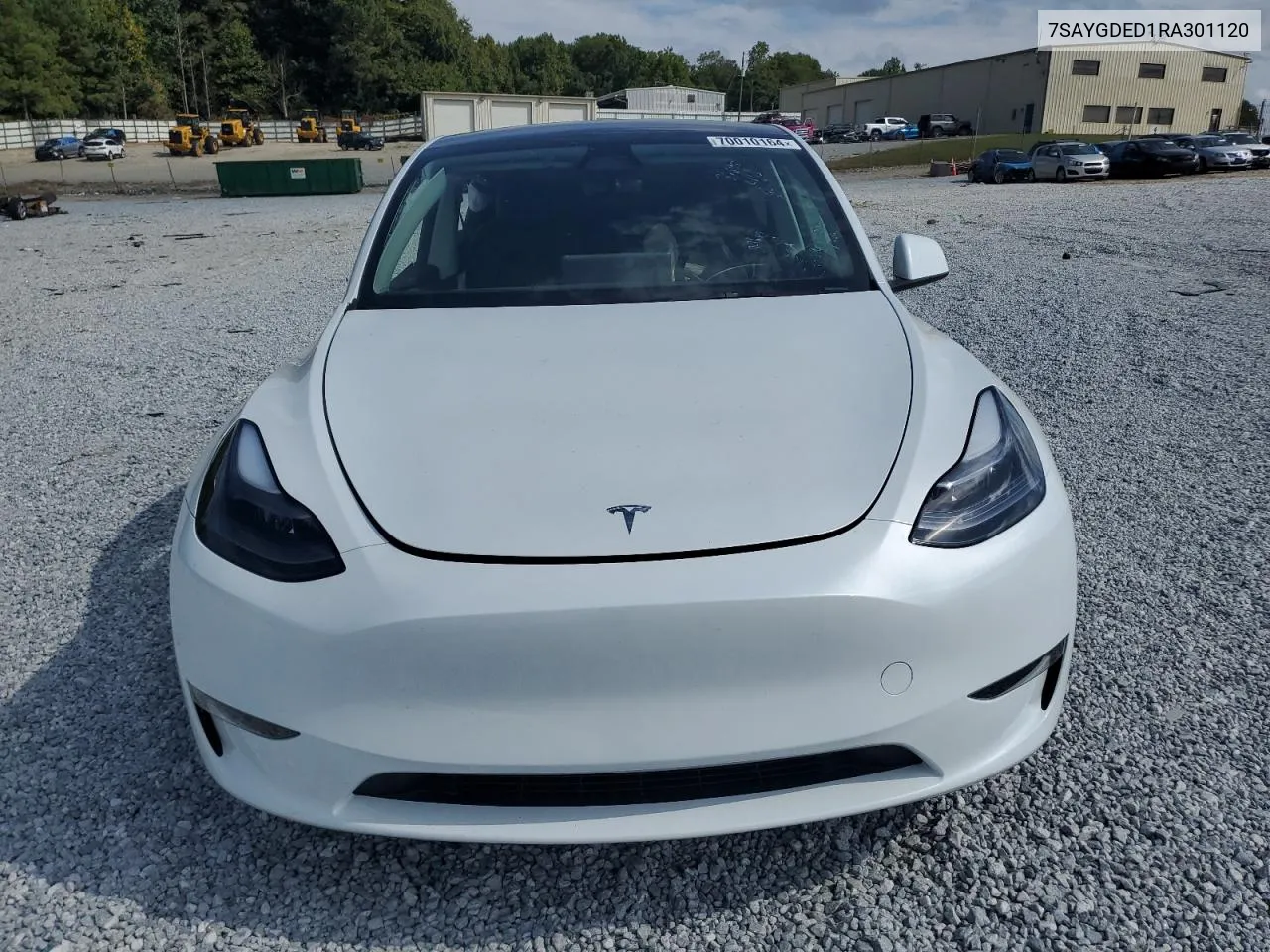 2024 Tesla Model Y VIN: 7SAYGDED1RA301120 Lot: 70010164