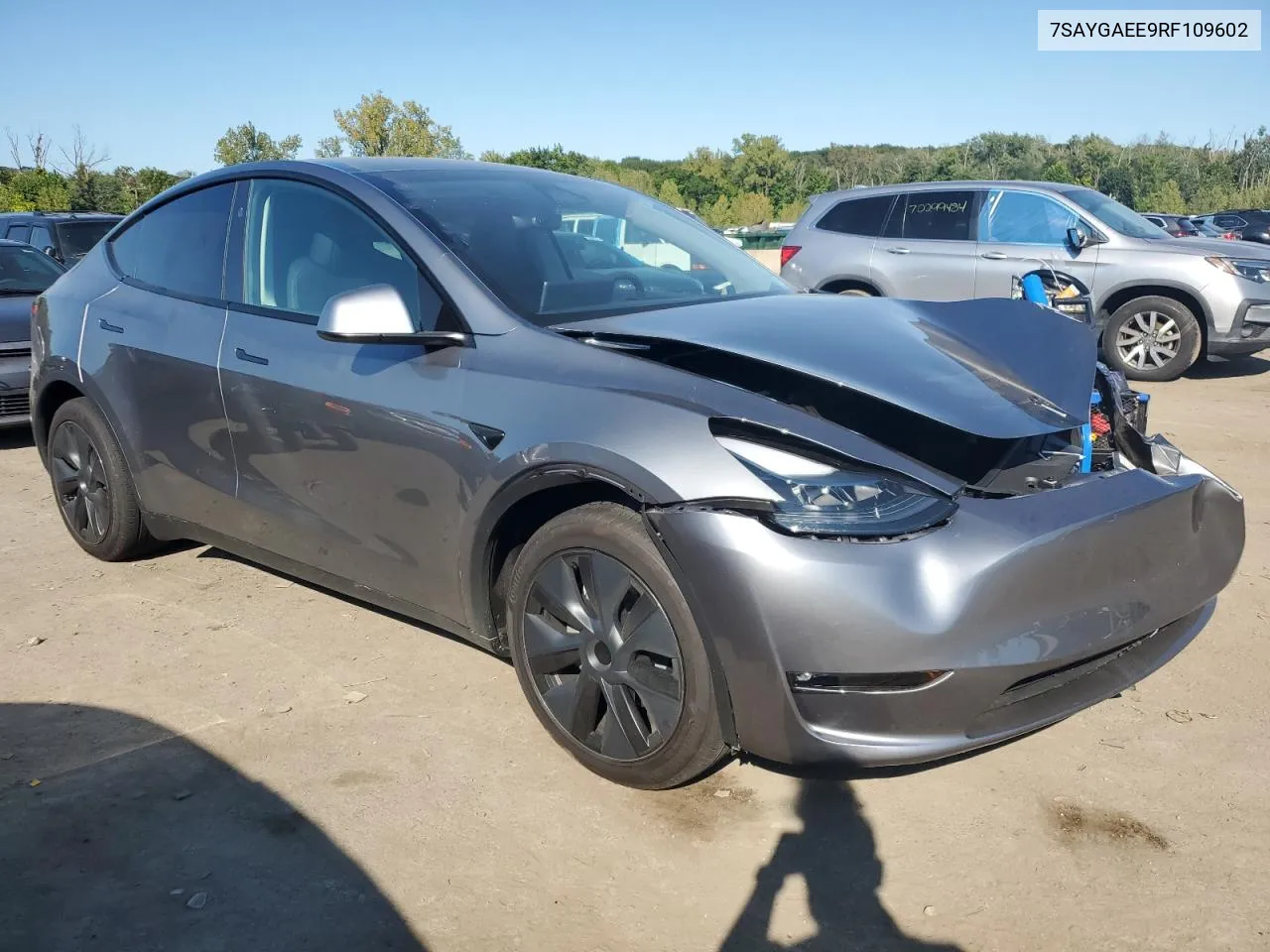 2024 Tesla Model Y VIN: 7SAYGAEE9RF109602 Lot: 70588114