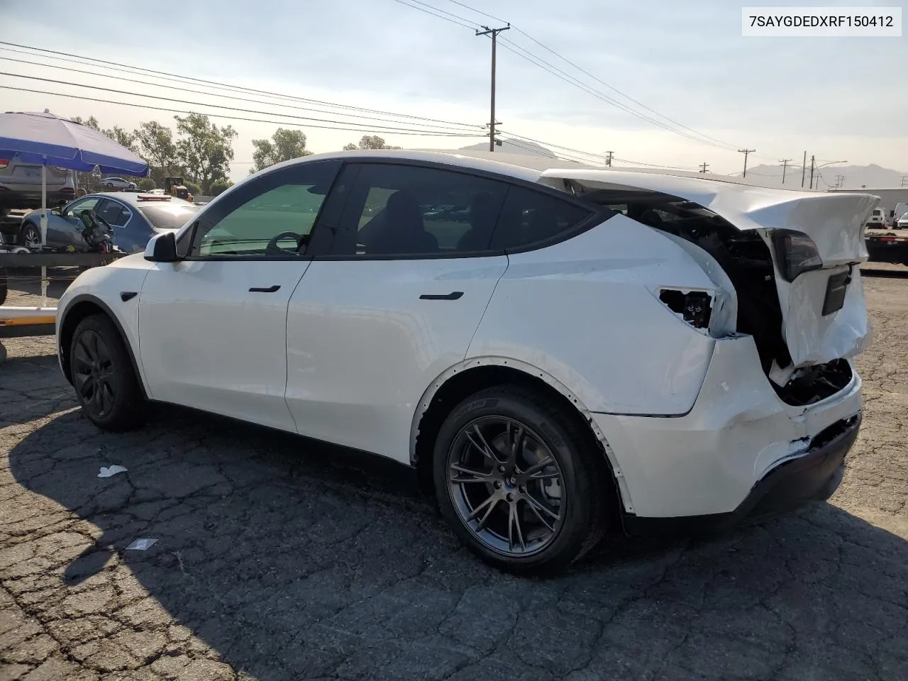 2024 Tesla Model Y VIN: 7SAYGDEDXRF150412 Lot: 70632634