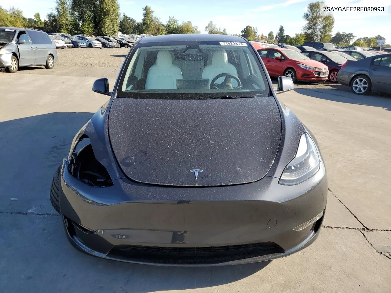 2024 Tesla Model Y VIN: 7SAYGAEE2RF080993 Lot: 71022874