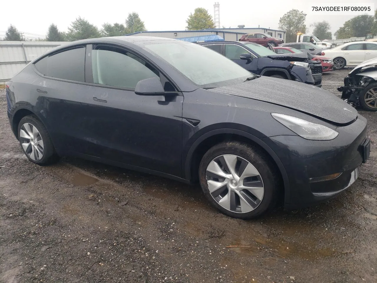 2024 Tesla Model Y VIN: 7SAYGDEE1RF080095 Lot: 71458264