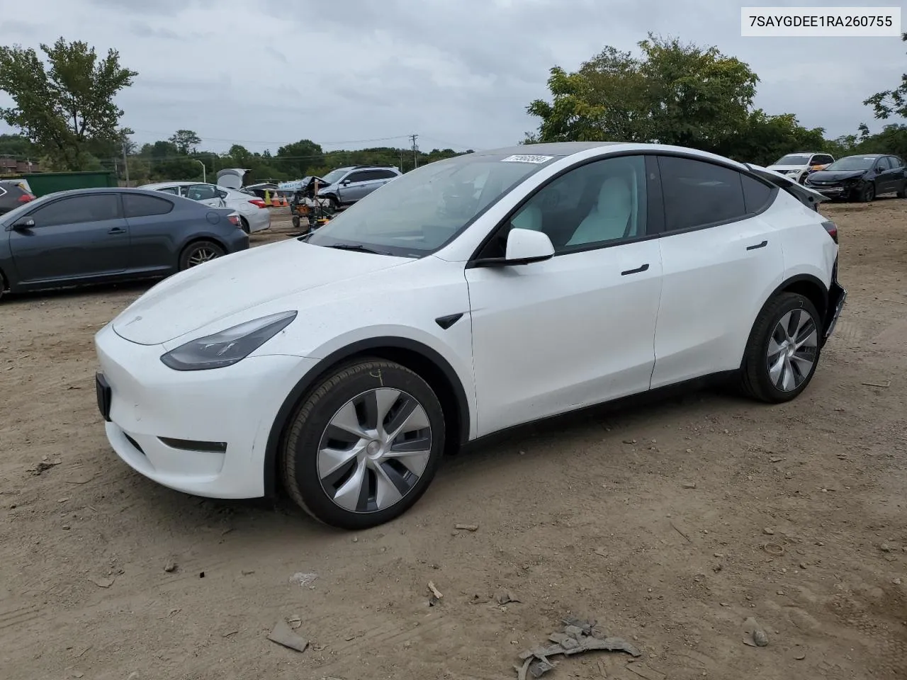 2024 Tesla Model Y VIN: 7SAYGDEE1RA260755 Lot: 71560584