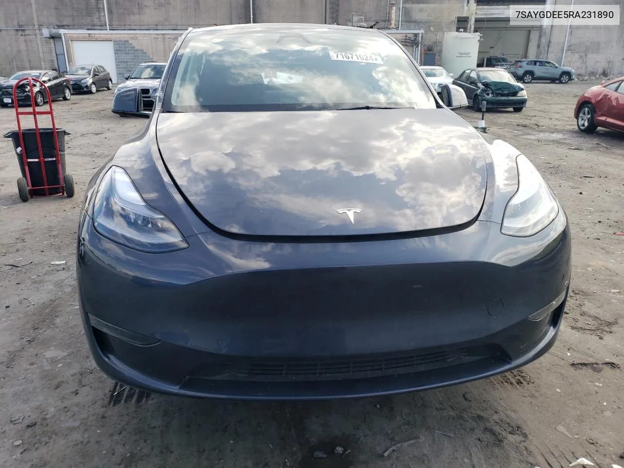 2024 Tesla Model Y VIN: 7SAYGDEE5RA231890 Lot: 71671624