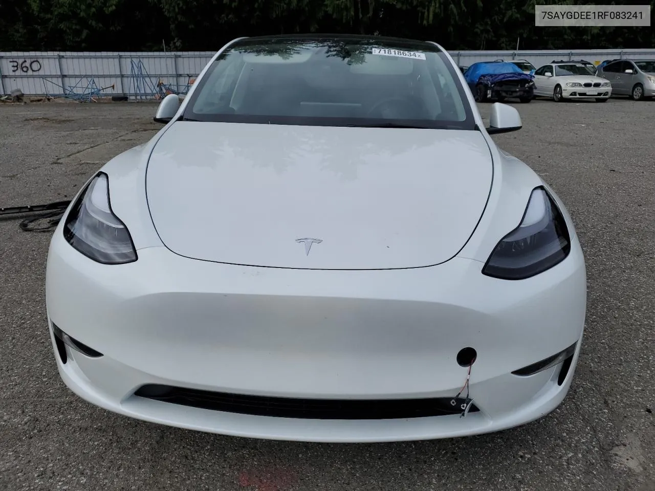 2024 Tesla Model Y VIN: 7SAYGDEE1RF083241 Lot: 71818634