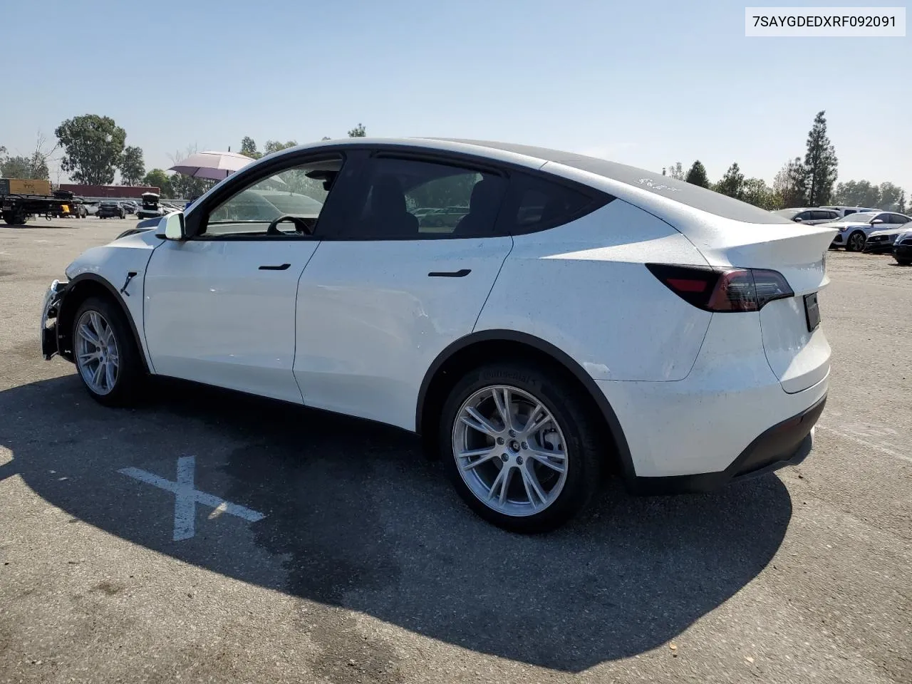 2024 Tesla Model Y VIN: 7SAYGDEDXRF092091 Lot: 72418904