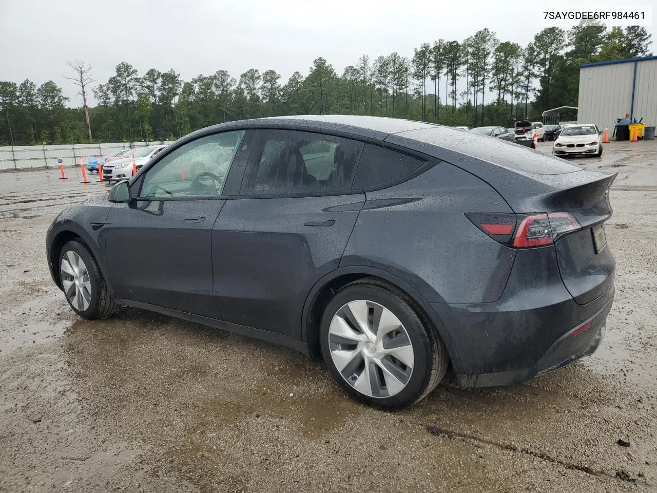 2024 Tesla Model Y VIN: 7SAYGDEE6RF984461 Lot: 72806054