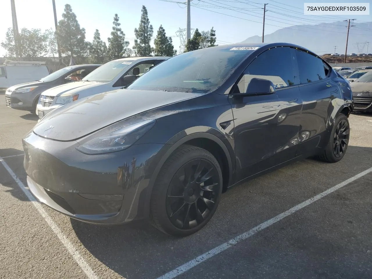 2024 Tesla Model Y VIN: 7SAYGDEDXRF103509 Lot: 73015804