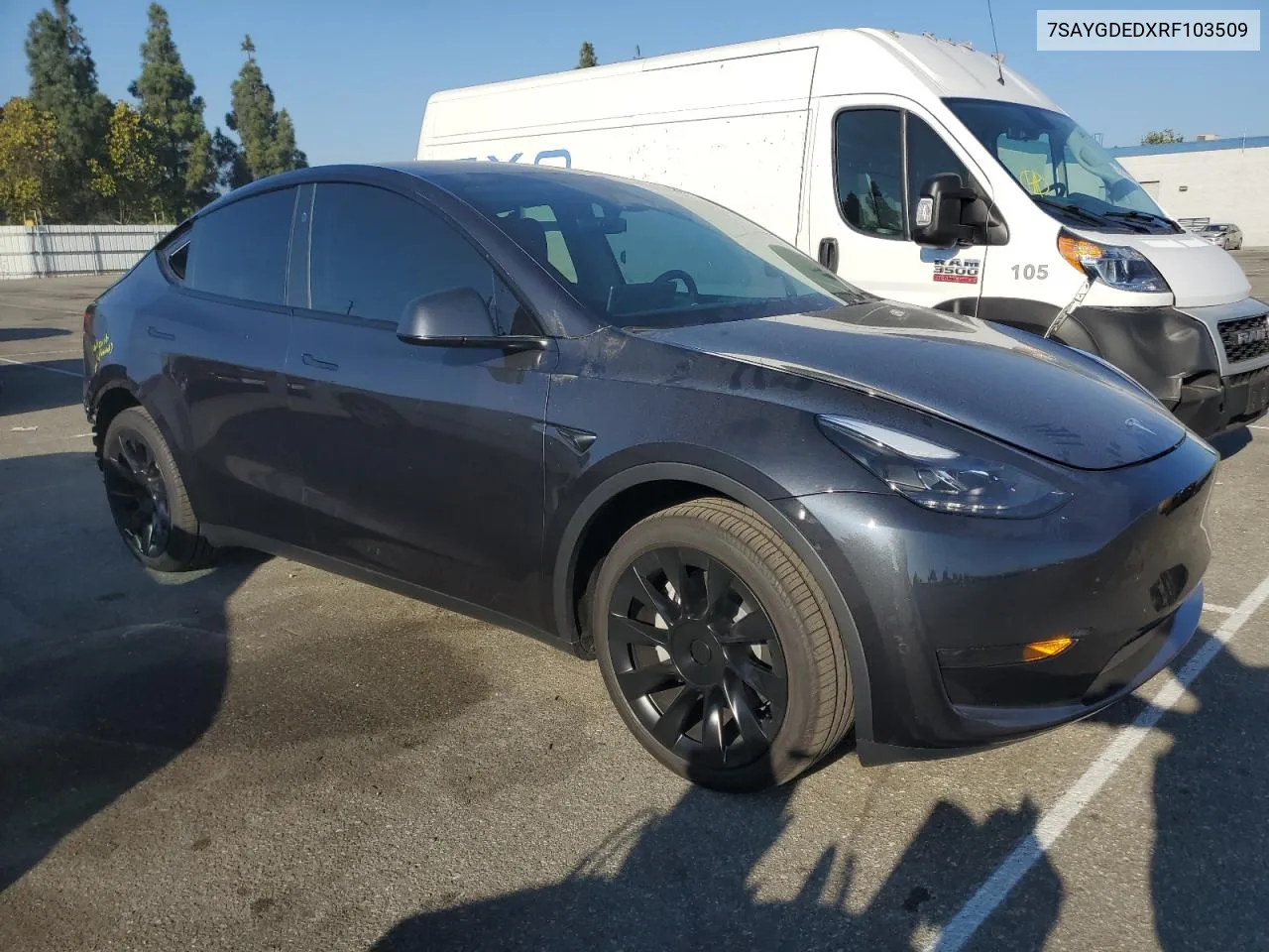 2024 Tesla Model Y VIN: 7SAYGDEDXRF103509 Lot: 73015804