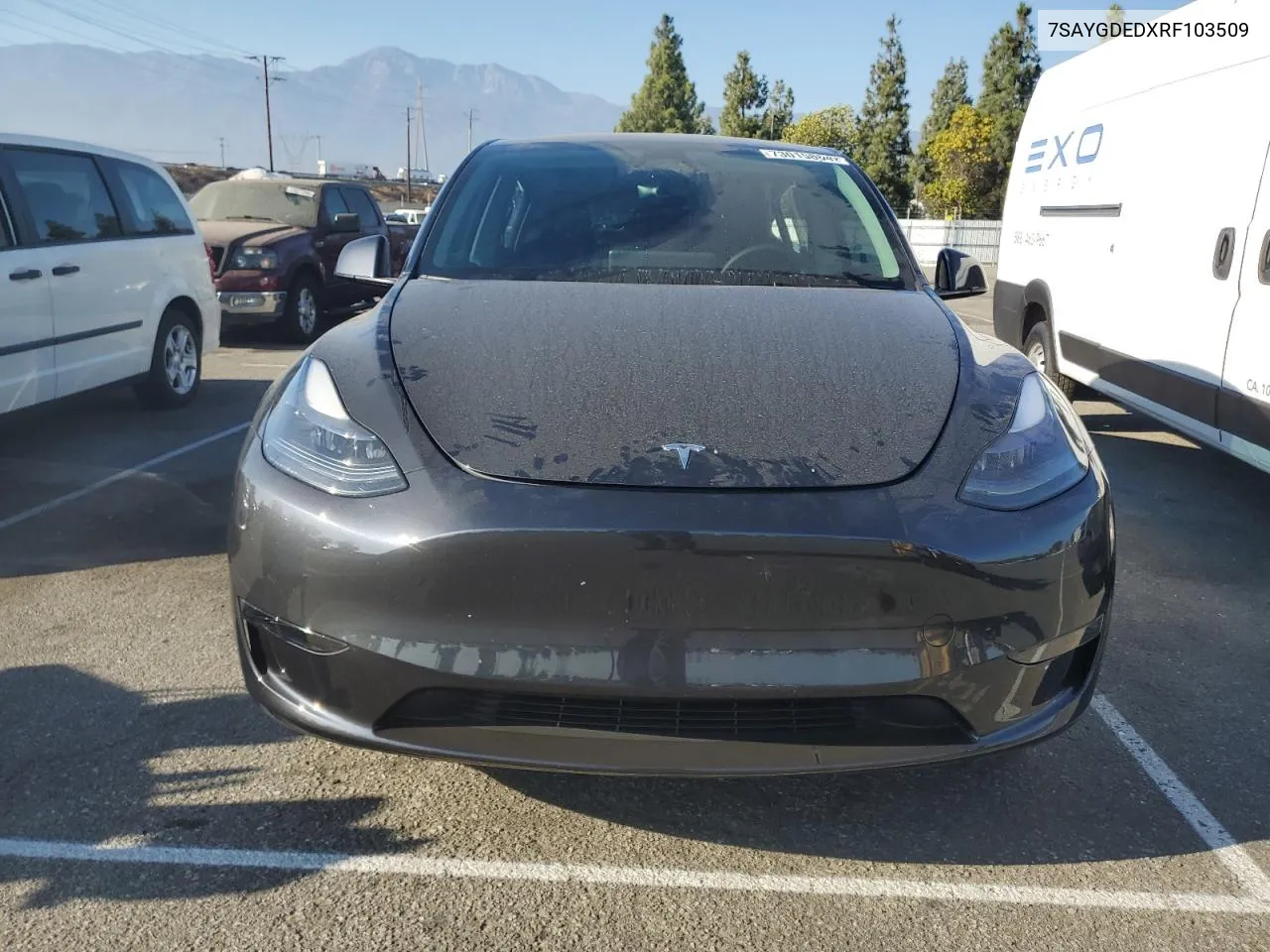 2024 Tesla Model Y VIN: 7SAYGDEDXRF103509 Lot: 73015804