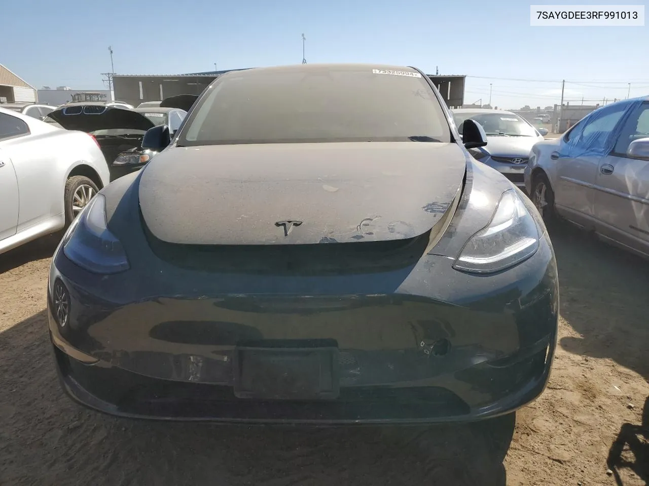 2024 Tesla Model Y VIN: 7SAYGDEE3RF991013 Lot: 73325994