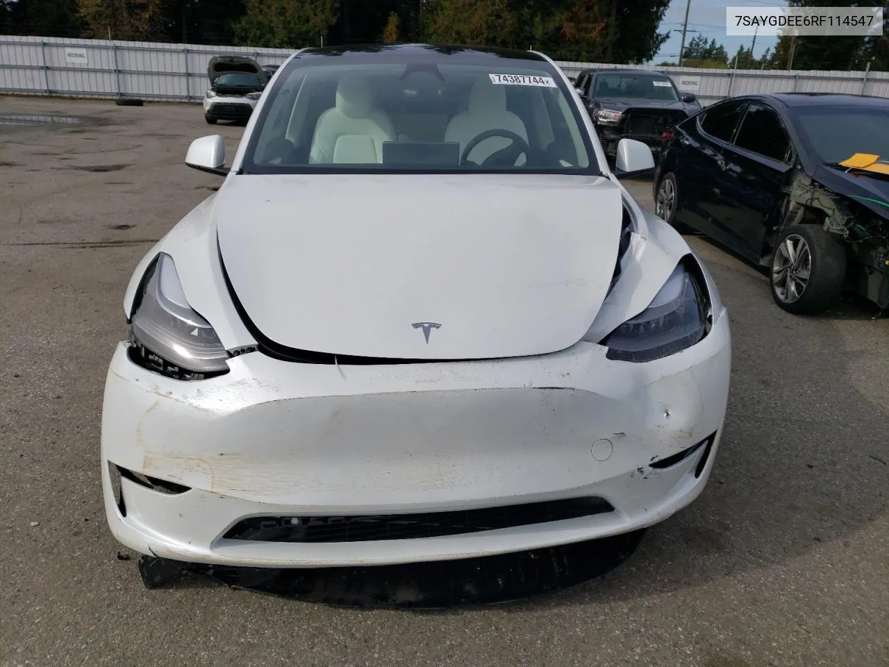 2024 Tesla Model Y VIN: 7SAYGDEE6RF114547 Lot: 74387744