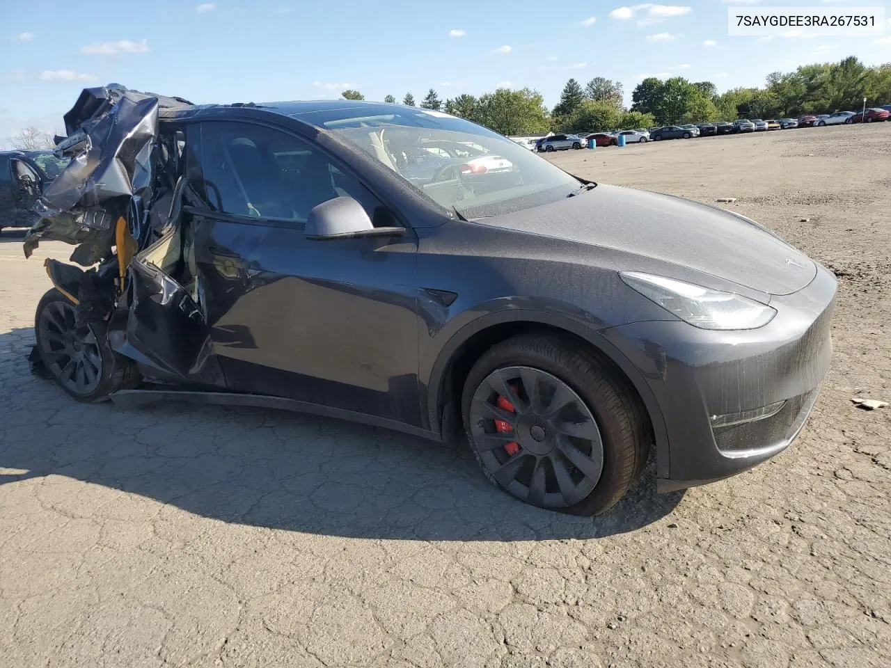 2024 Tesla Model Y VIN: 7SAYGDEE3RA267531 Lot: 74705124