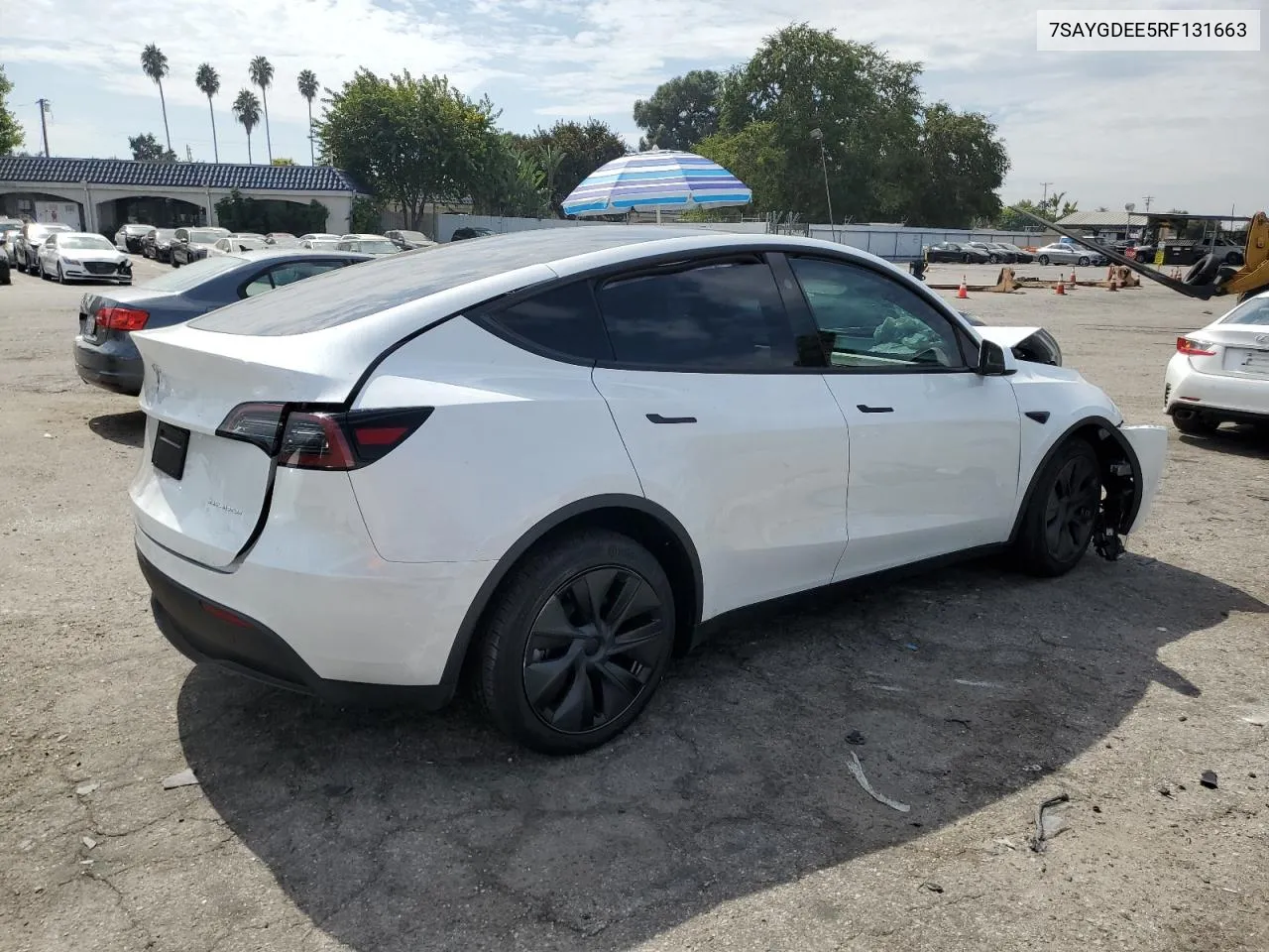 2024 Tesla Model Y VIN: 7SAYGDEE5RF131663 Lot: 74745644