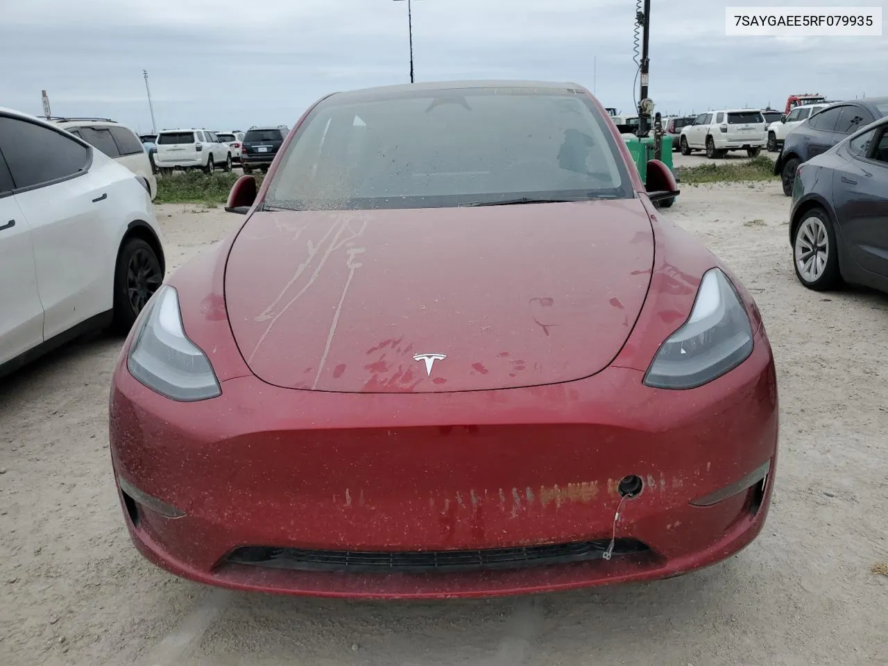 2024 Tesla Model Y VIN: 7SAYGAEE5RF079935 Lot: 75366904