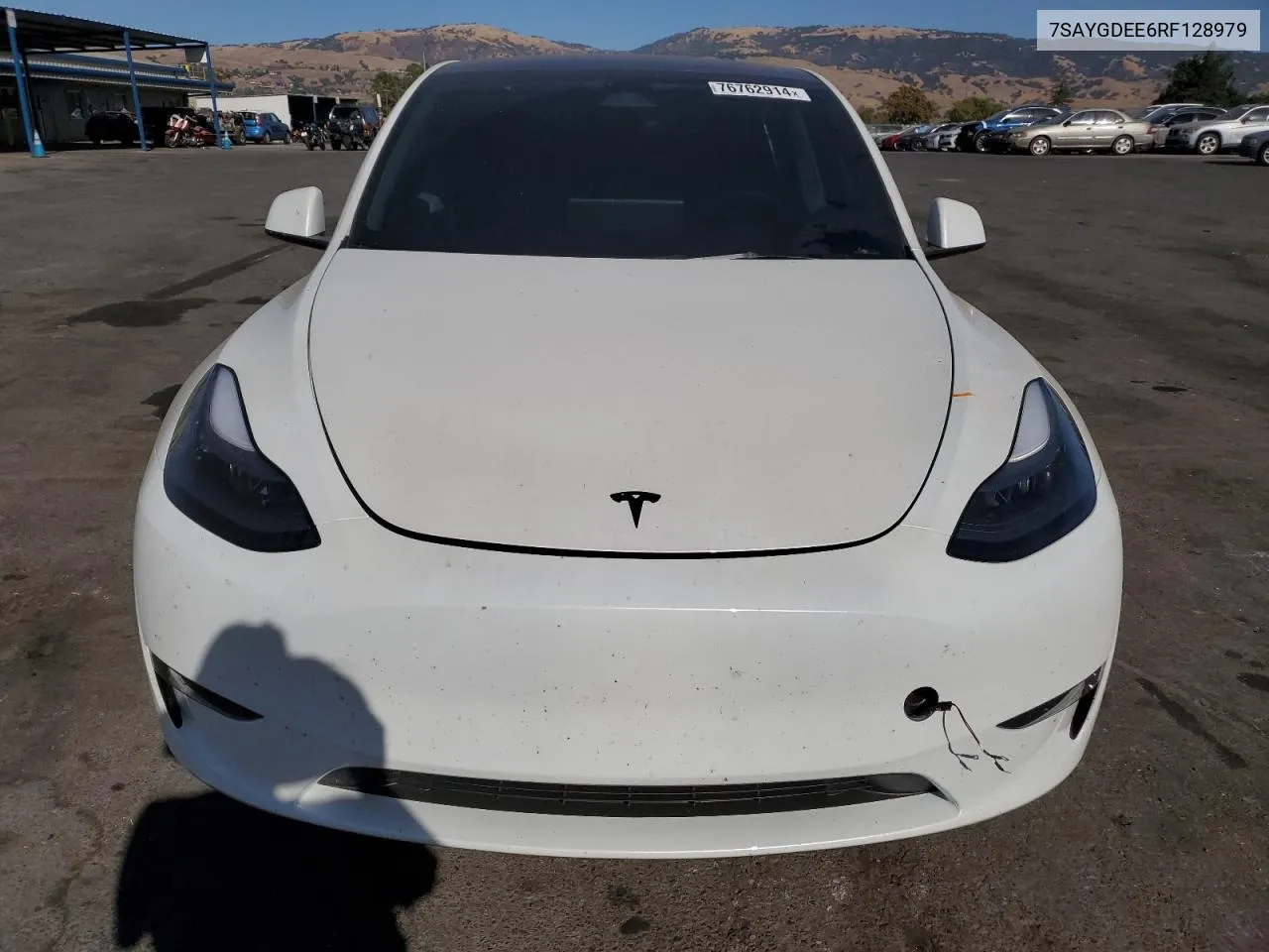 2024 Tesla Model Y VIN: 7SAYGDEE6RF128979 Lot: 76762914