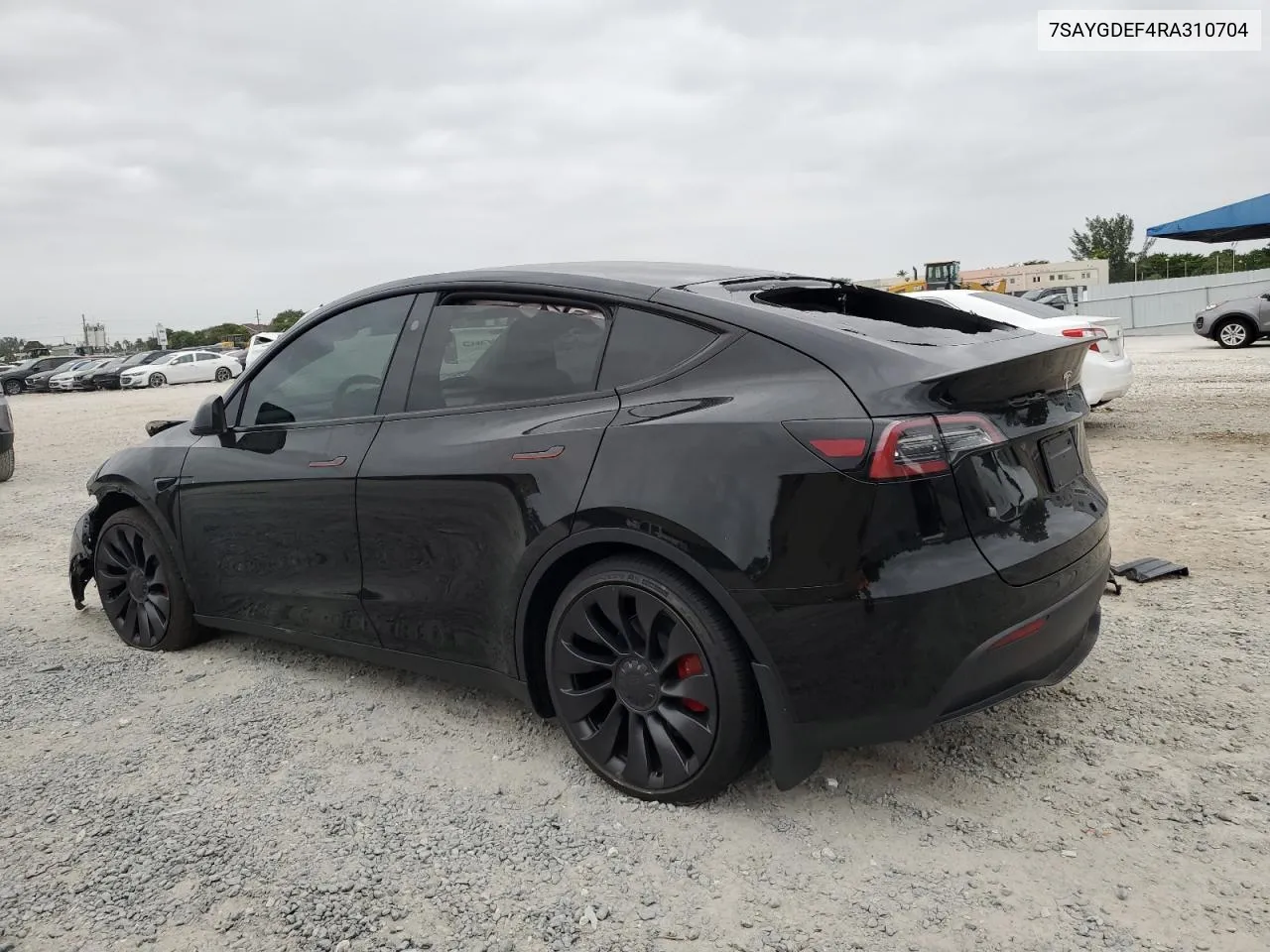 2024 Tesla Model Y VIN: 7SAYGDEF4RA310704 Lot: 76817474