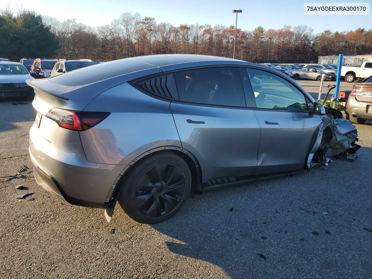 2024 Tesla Model Y VIN: 7SAYGDEEXRA300170 Lot: 80263504