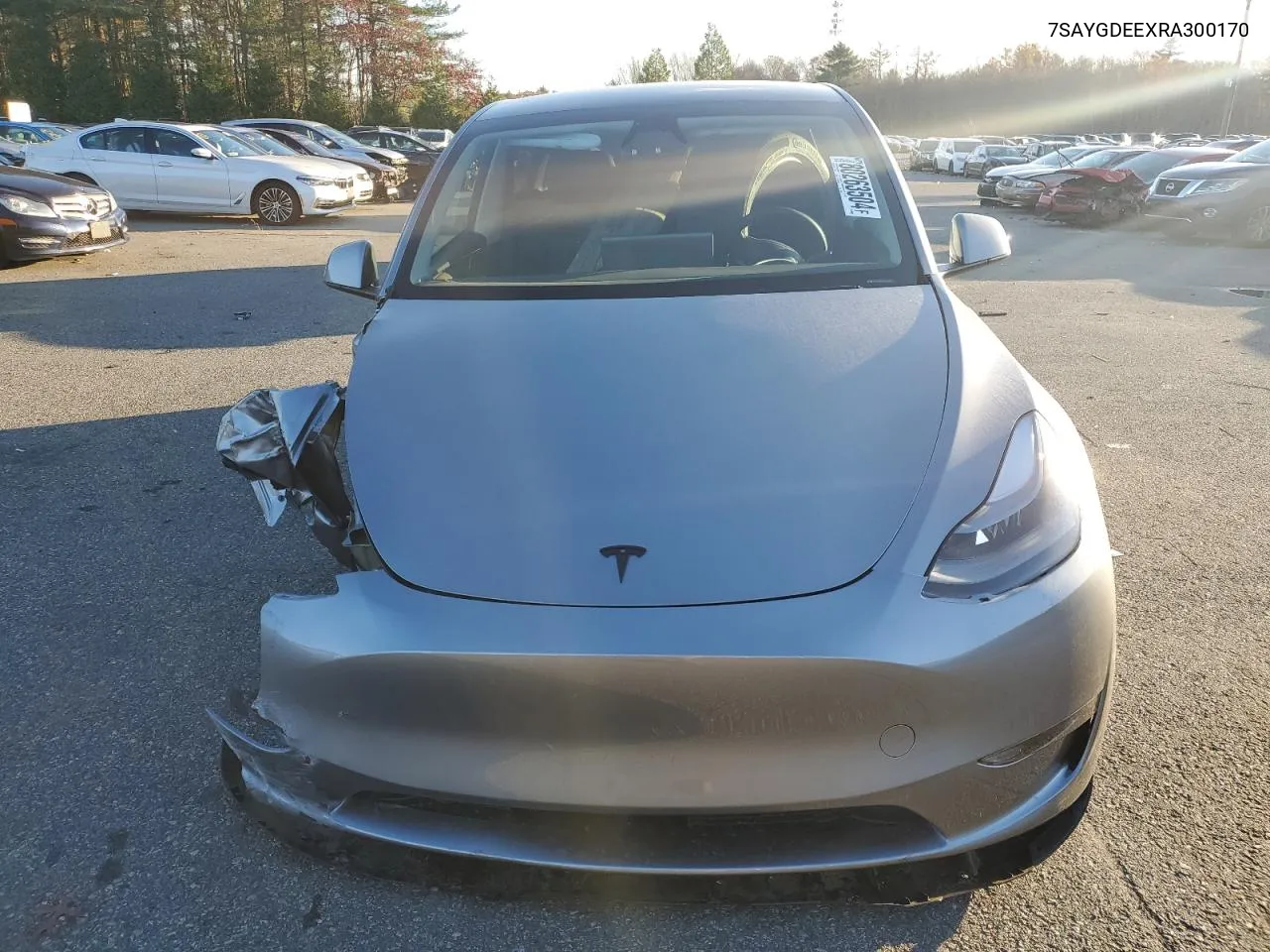 2024 Tesla Model Y VIN: 7SAYGDEEXRA300170 Lot: 80263504