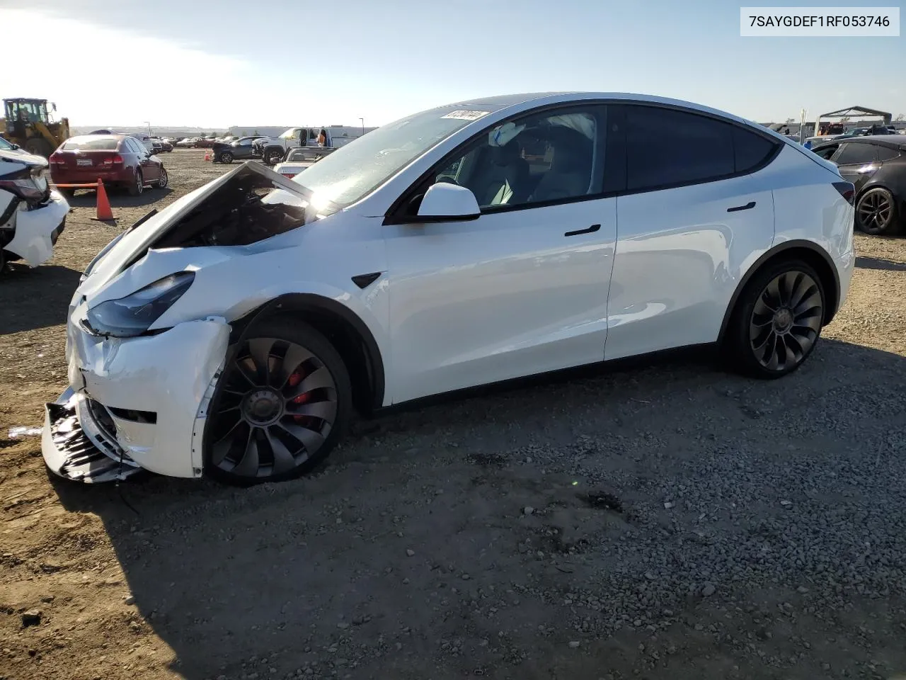 2024 Tesla Model Y VIN: 7SAYGDEF1RF053746 Lot: 81290144