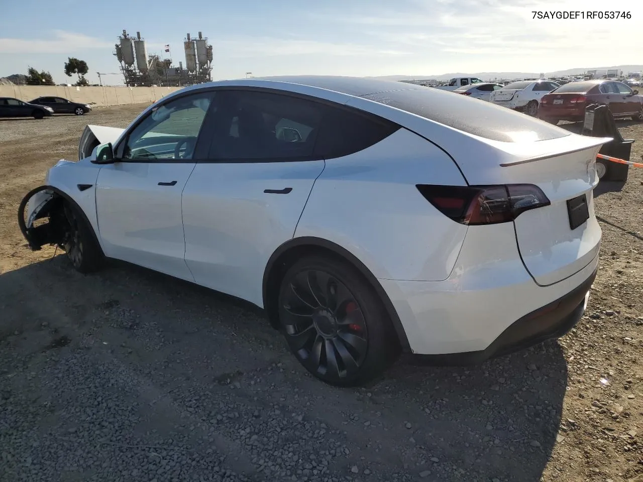 2024 Tesla Model Y VIN: 7SAYGDEF1RF053746 Lot: 81290144