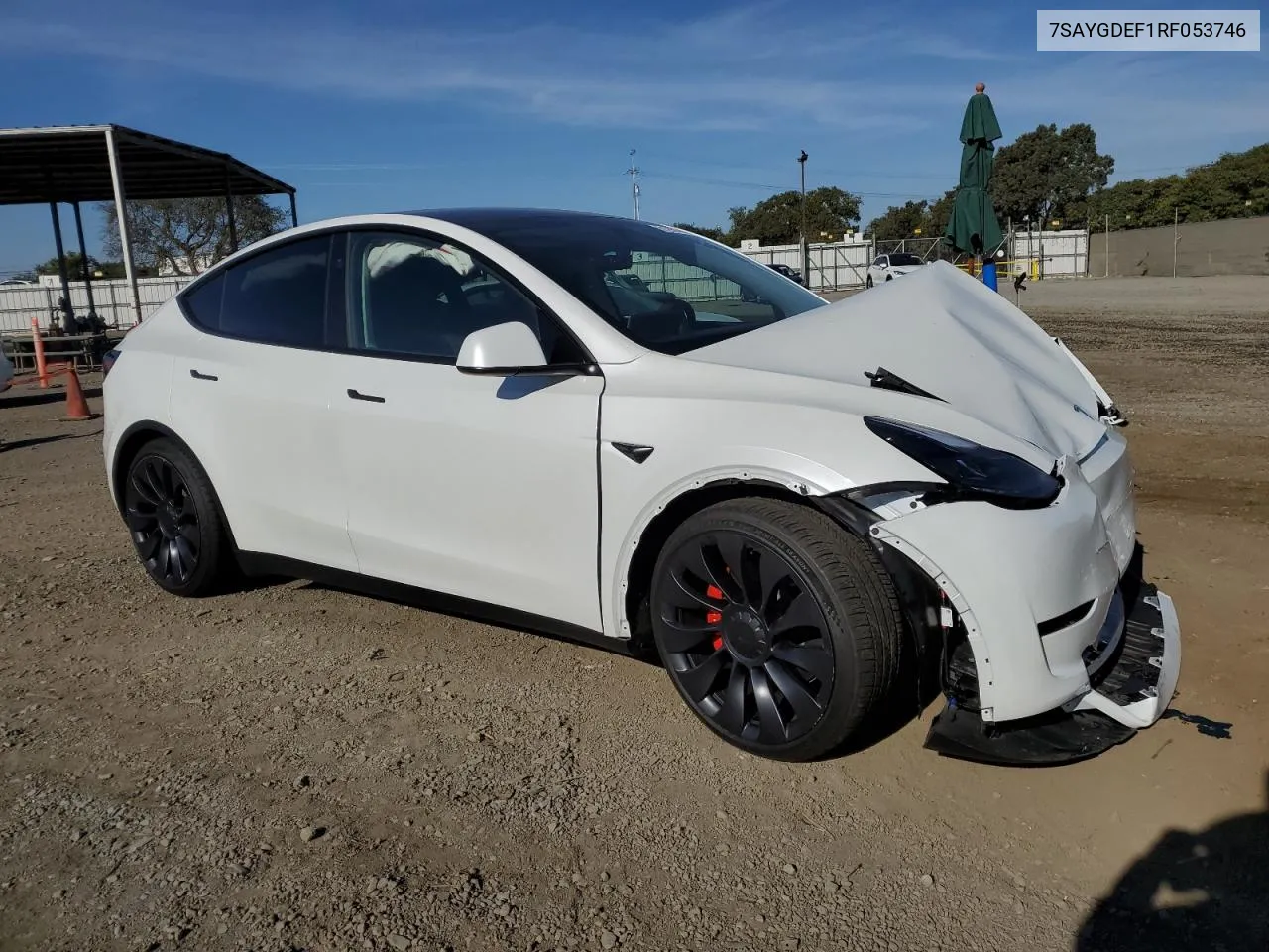 2024 Tesla Model Y VIN: 7SAYGDEF1RF053746 Lot: 81290144