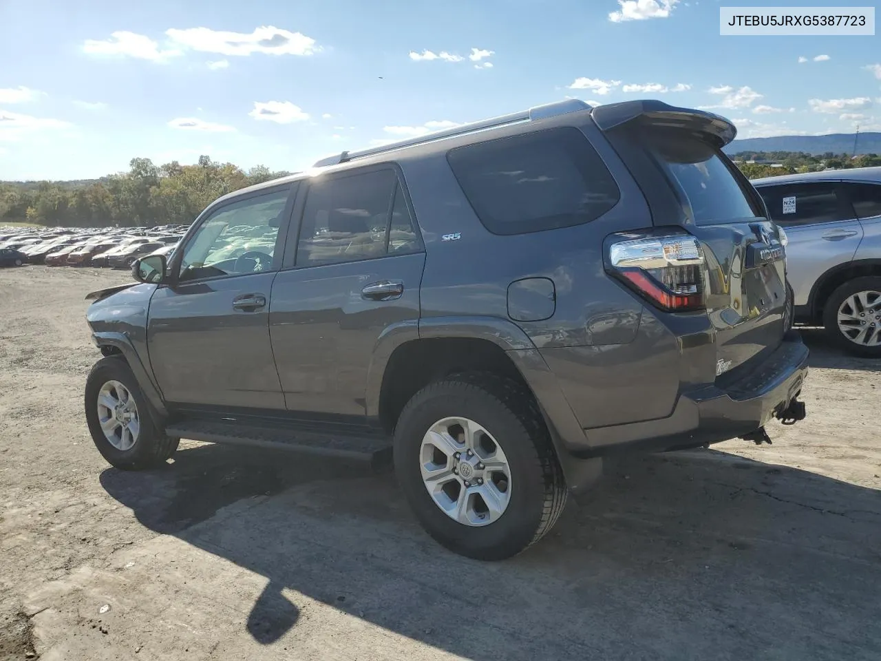 2016 Toyota 4Runner Sr5/Sr5 Premium VIN: JTEBU5JRXG5387723 Lot: 75479954